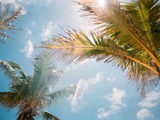 Imagine Your Family Renting This Luxury Contemporary Style Villa on Paradiso Grande Resor Orlando Villa 6403 - 3