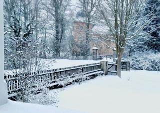 Landhaus am Schloss - 8