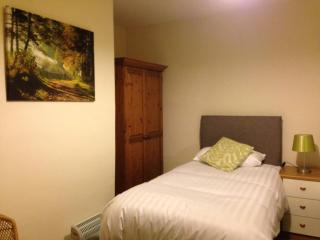 Blue Lion Inn - 1