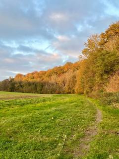 La Verdine - Wavre - 6