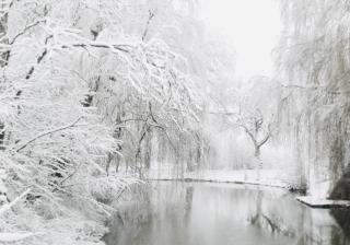 Landhaus am Schloss - 7