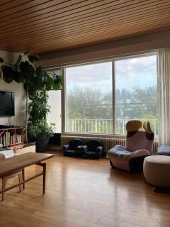 The Jakobsson House - 9