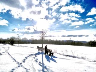 Landhaus am Schloss - 6