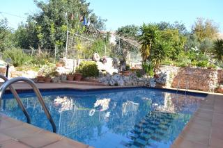 Bicorna - Chania - Plaka - 1