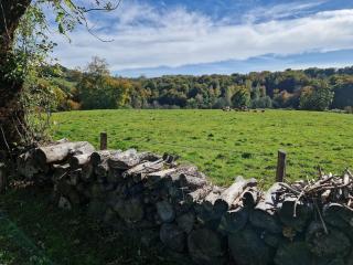 La Borie de Peyrot - - 9