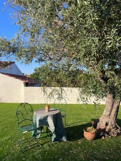 Courela da Anta - Vimieiro - 9