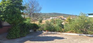 Cerro del tendero - Fuente del Arco - 5