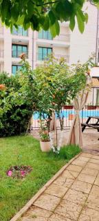 Best Location in Sunny Beach Amber Beach - Sunny Beach - 7