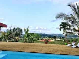 Villa Mabuya charme naturel et piscine privée - Sainte-Anne - 6