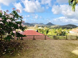 Villa Mabuya charme naturel et piscine privée - Sainte-Anne - 3