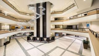 Hilton Atlanta - Atlanta - 6
