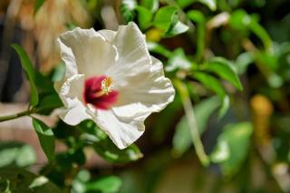 Apt Oasis LuxuryRentalsMurcia - 2