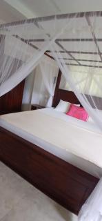 New Cinnamon Villa - Bentota - 6
