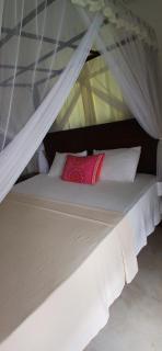 New Cinnamon Villa - Bentota - 5
