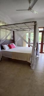 New Cinnamon Villa - Bentota - 4
