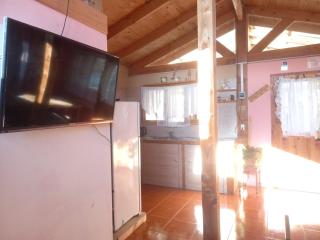 Cabaña del Lago 2 - Dina Huapi - 1