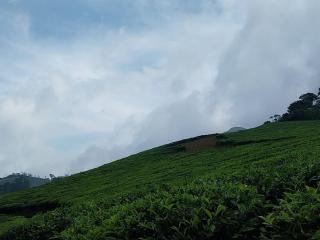 Black Bull Cottage - Viripara - 3