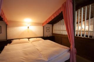 Berghotel Blaickner's Sonnalm - Zell am See - 6