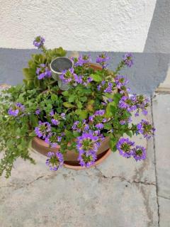 Apartmani Tea - Tribunj - 4