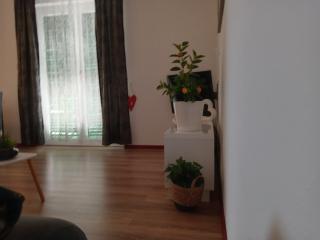 Apartmani Tea - Tribunj - 3