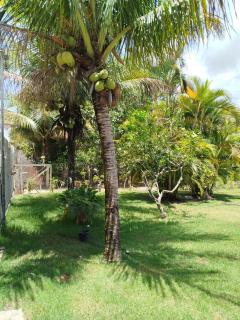Chacara ravenala - Porto Seguro - 7