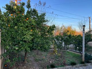 Guesthouse BATU - Kutaisi - 3