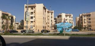 Luxury Apartment - Sheikh Zayed - 3
