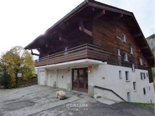 T2 + coin nuit au pied des pistes, idéal pour 4 personnes - FR-1-458-187 - Le Grand-Bornand - 1