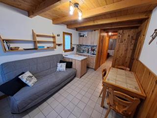 Charmant appart 1 chambre, centre, proche pistes, bien équipé - FR-1-733-158 - Crest-Voland - 9
