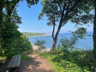 Cosy cottage - sea views, Fife Coastal Path, Golf - Dysart - 8