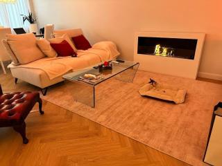 Entire apartment 100m2, 2 balconies & near Basel SBB - Basilea - 5