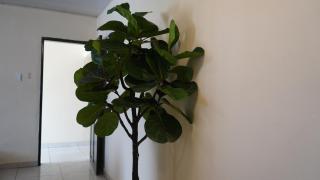 City King Hotel Apartments - 5