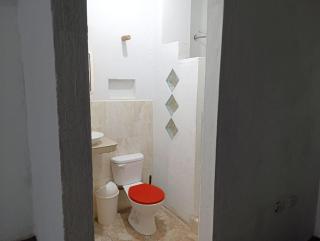 Livia House - Puerto Ayora - 9