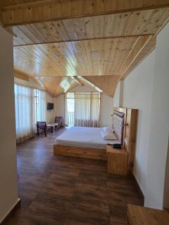 DNS Villas Manali - 0