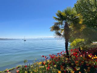 Bodensee Strandläufer Quartier - Daisendorf - 8