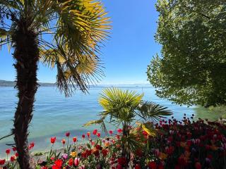 Bodensee Strandläufer Quartier - Daisendorf - 7