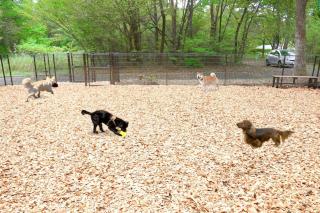 那須コテージ アン - 8