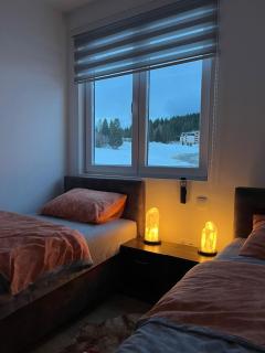 Apartman Zlatar-Vasiljevic - Nova Varoš - 9