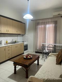 Karditsa urban apartment - Karditsa - 7