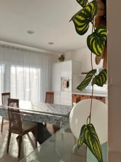Casa Vacanze Roberta - Riccione - 0
