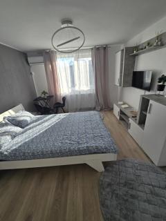 Garsoniera - moderna - Timișoara - Timişoara - 0
