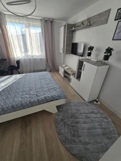 Garsoniera - moderna - Timișoara - 8