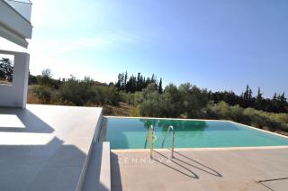 Zennova #65 Villa Vanina - 5