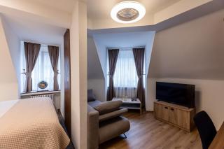 Deluxe Appart & Hotel Zürich Kreis 4 - Zurigo - 7