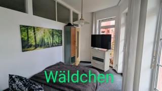 Wäldchen - Eilenburg - 3