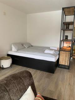 Rothornblick 25 "renoviert" by Arosa Holiday - Arosa - 5