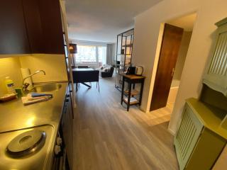Rothornblick 25 "renoviert" by Arosa Holiday - Arosa - 2
