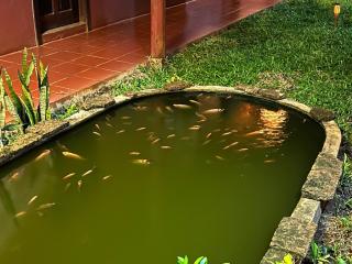 havai guesthouse - Banlung - 1