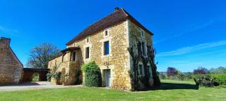 Domaine de Périer - Cénac-et-Saint-Julien - 8