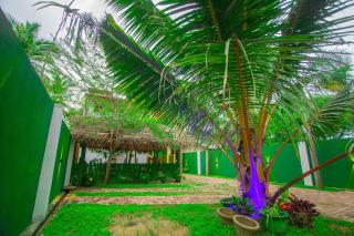 Happiness villa Yala and Safari - Tissamaharama - 6